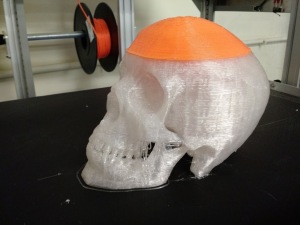 giga-skull