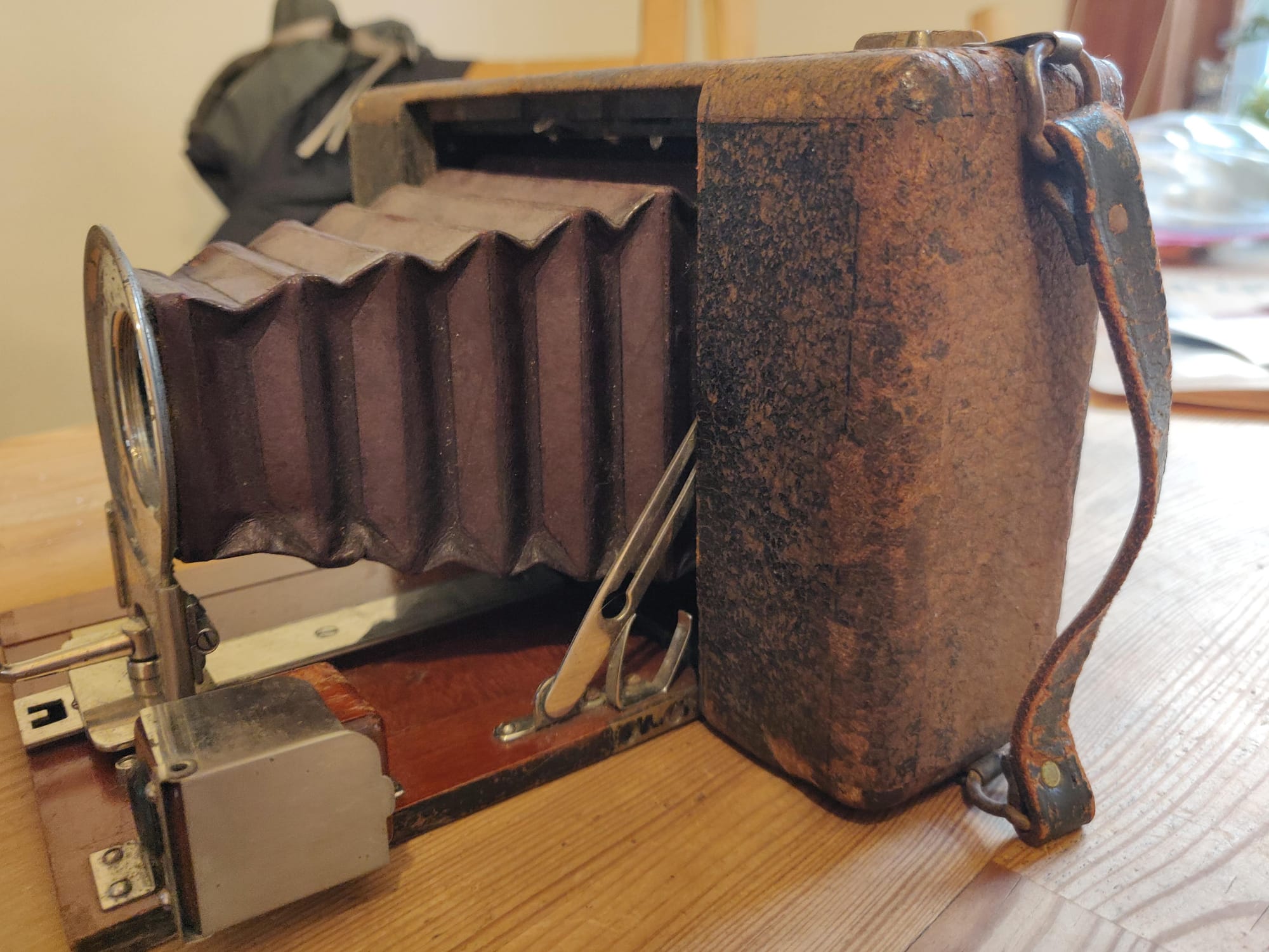 A 115 Year Glow-Up